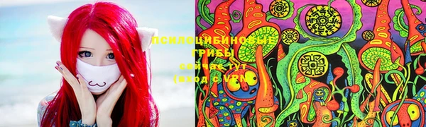 первитин Алексеевка
